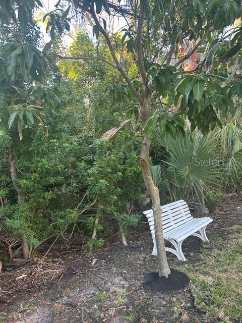 HARBOR VIEW 2 - Land