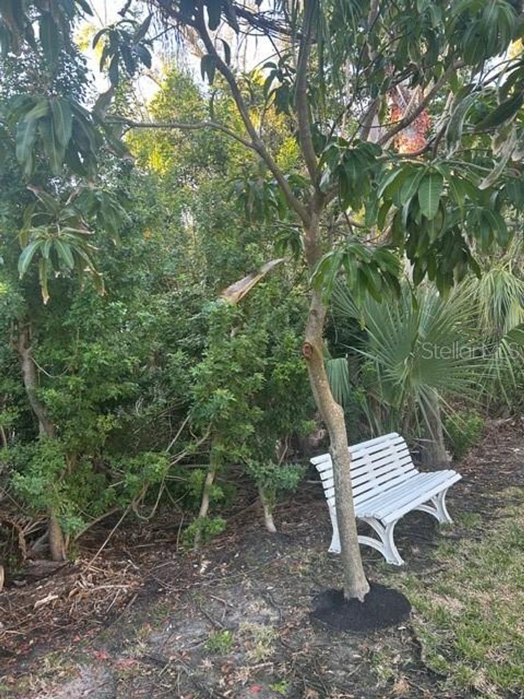 Photo of 13310 72nd Terrace, Seminole, FL 33776 (MLS # TB8476814)