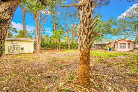 A home in TAMPA