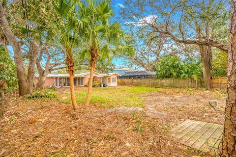 A home in TAMPA