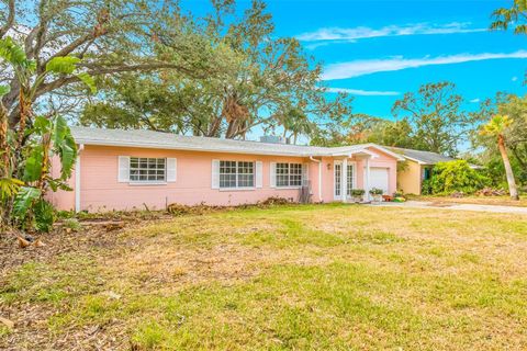 A home in TAMPA