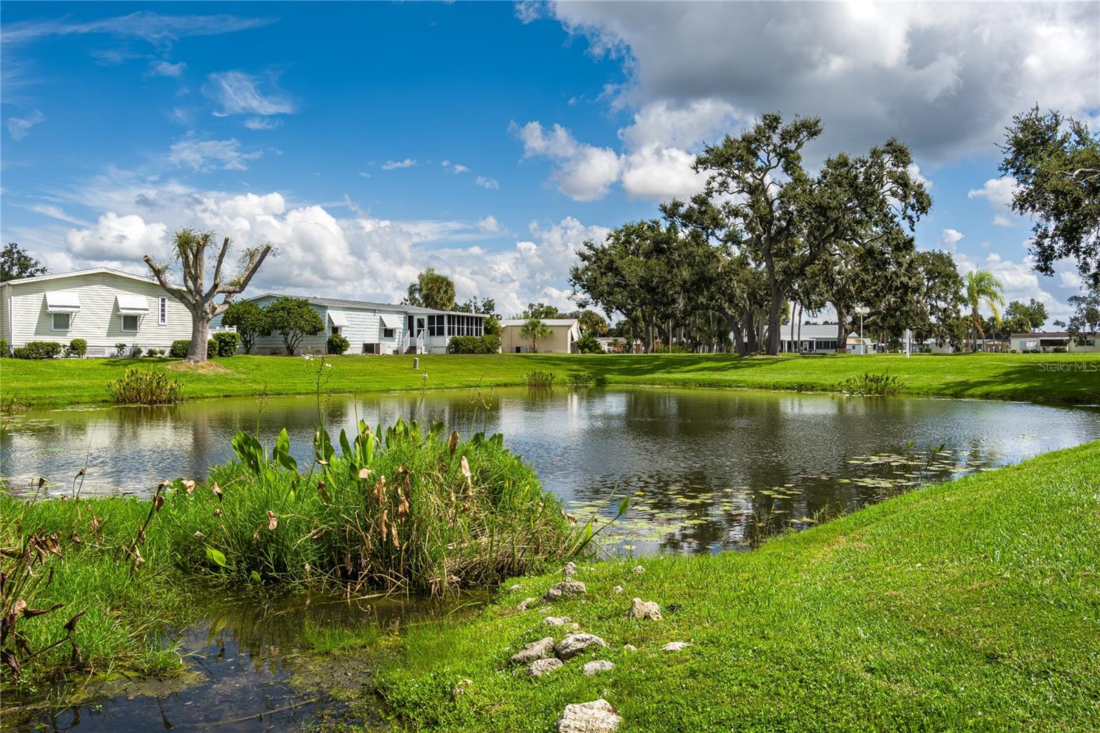 RIDGEWOOD OAKS PH II & III - Residential