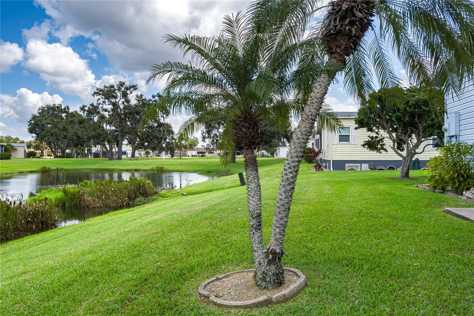 RIDGEWOOD OAKS PH II & III - Residential