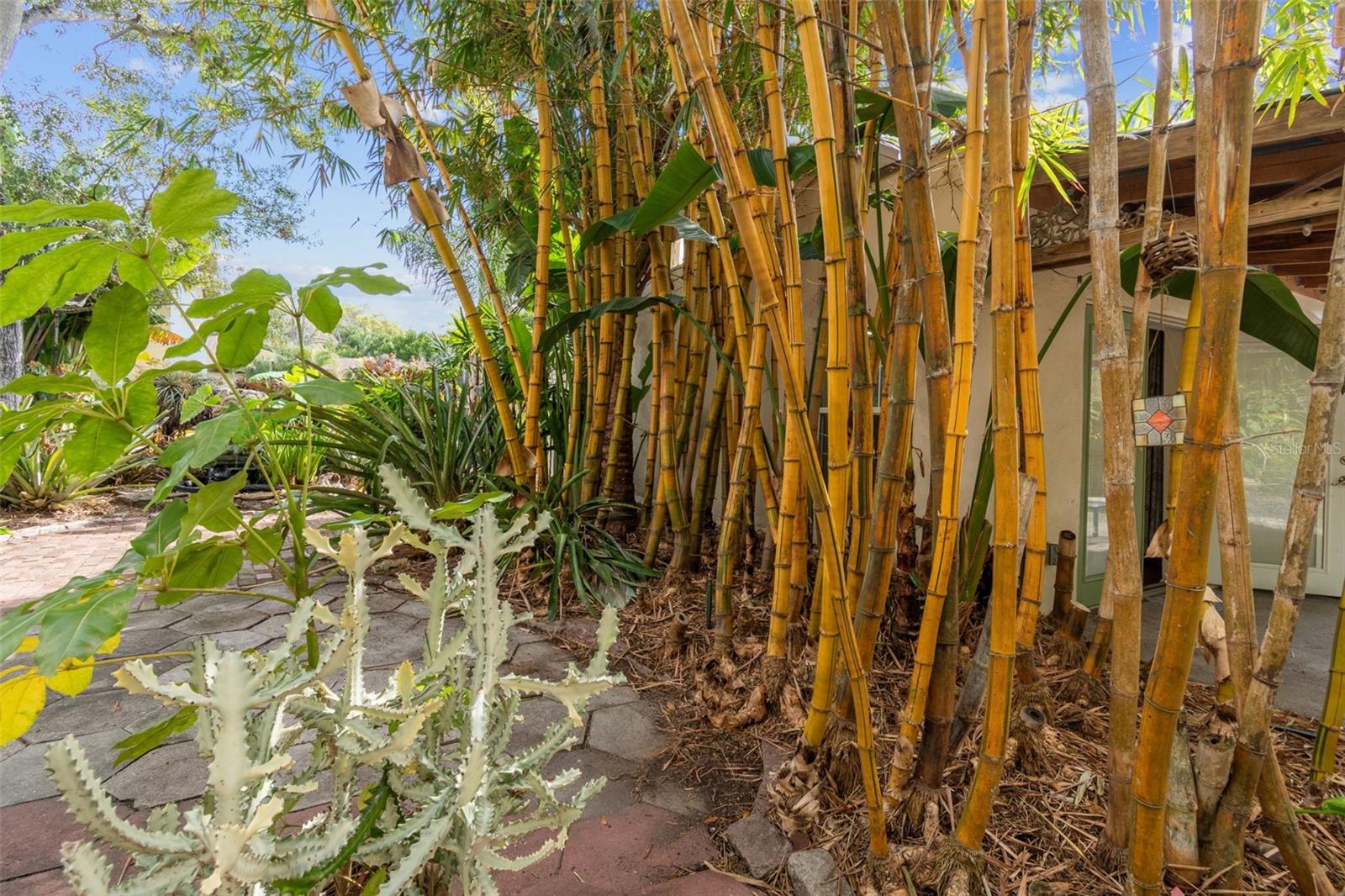 HALLS CENTRAL AVE 3 - Residential