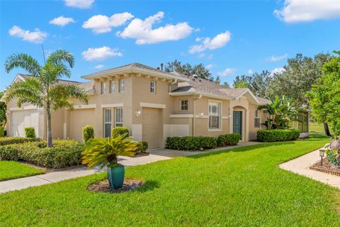 A home in SUN CITY CENTER