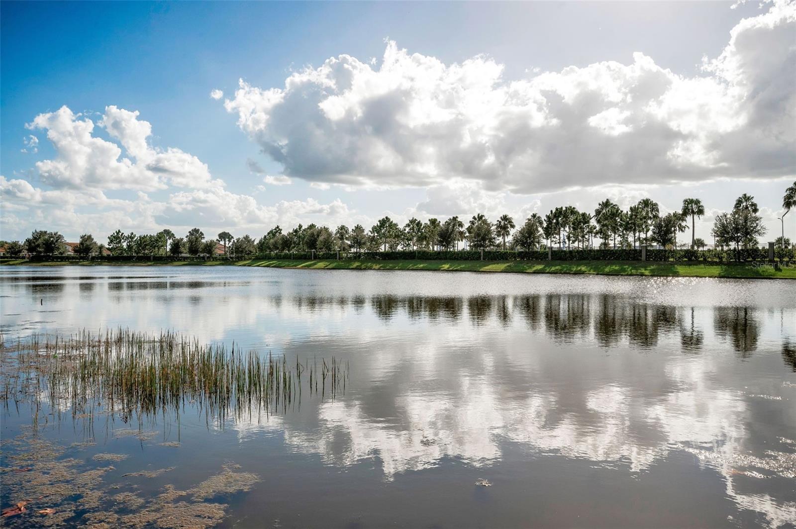 FOREST BROOKE ACTIVE ADULT PH - Residential