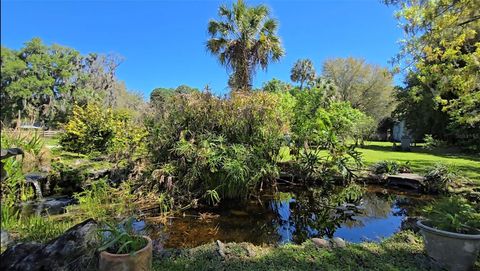 Tiny photo for 12490 NW Highway 320, Micanopy, FL 32667 (MLS # OM697647)