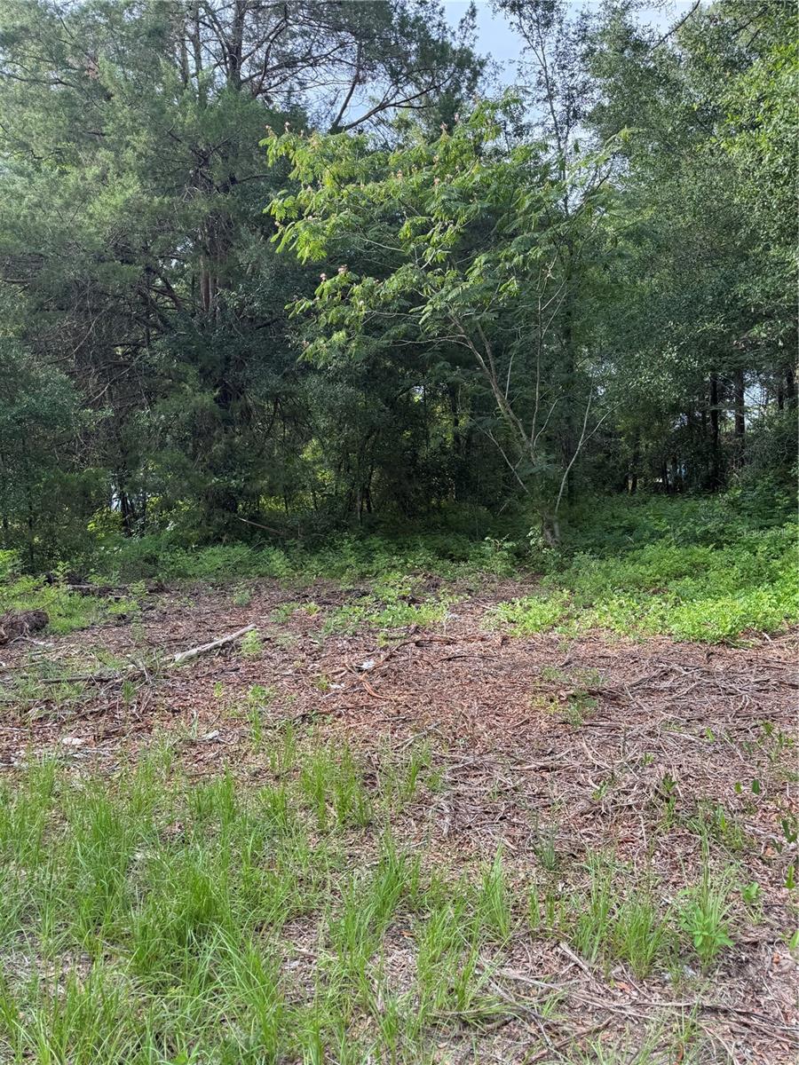 This charming partially cleared lot offers the perfect blend of natural beauty and convenience. Nestled just minutes from Bronson, Florida, this property is ideal for anyone looking to build a home and enjoy the tranquility of country living without sacrificing access to nearby amenities This lot has a well and septic on it, this lot had a mobile home on it previously. The well and septic does not come with a warranty.
Whether you're dreaming of a peaceful retreat, a small homestead, or a cozy family home, this lot provides a serene setting with plenty of space to make your vision a reality. Enjoy the fresh air, open skies, and the relaxed pace of rural lifeāall within a short drive of town.