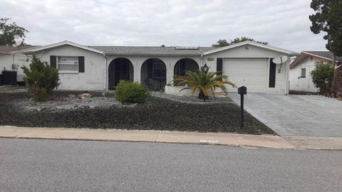 Photo of 7615 Sue Ellen Drive, Port Richey, FL 34668 (MLS # O6373656)
