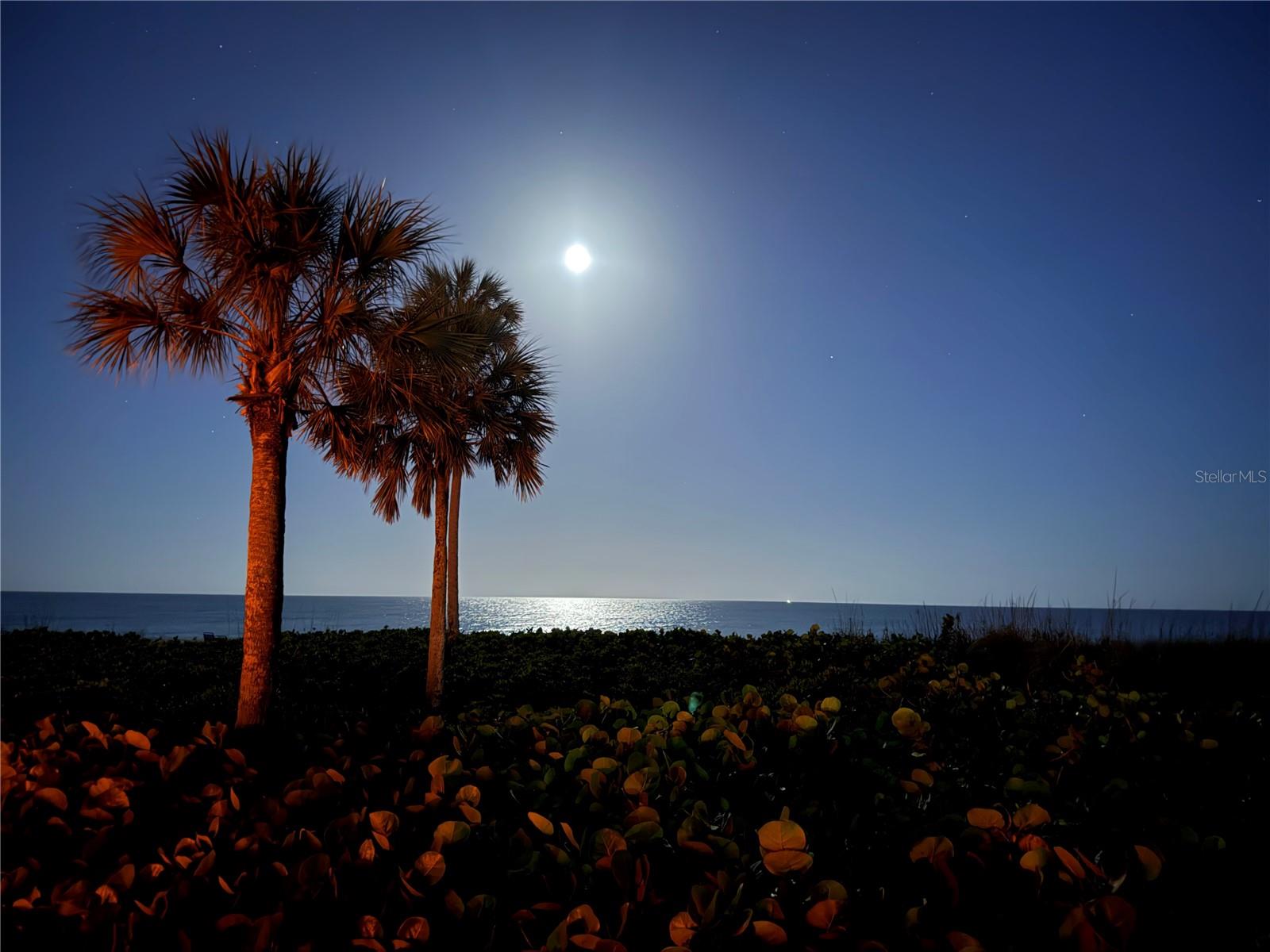 CONTINENTALS SEA CLUB III - Residential