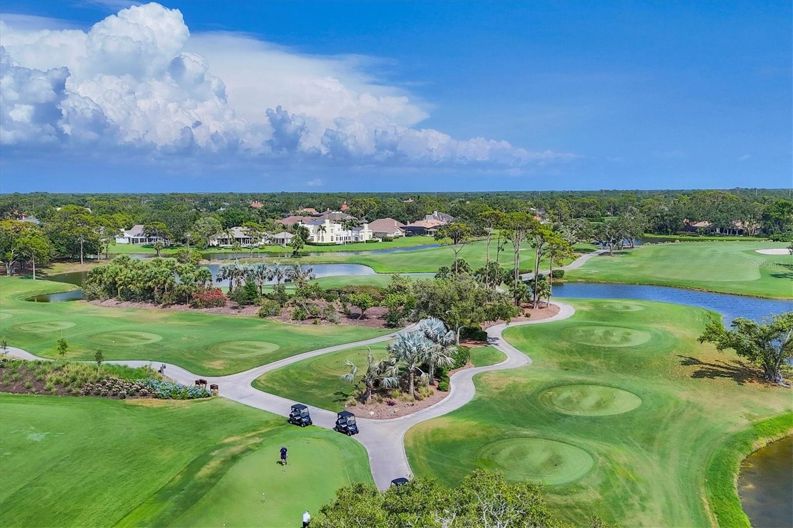 MERIDIAN AT THE OAKS PRESERVE - Residential