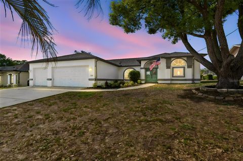 Photo of 11349 Sand Hill Avenue, Spring Hill, FL 34608 (MLS # TB8502759)
