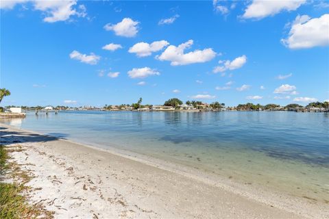 A home in ST PETE BEACH