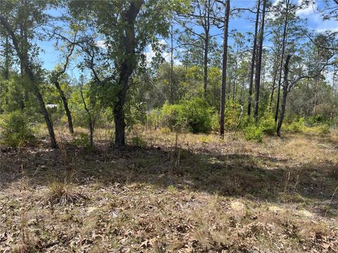 Photo of NW 96 Avenue, Bronson, FL 32621 (MLS # O6398782)