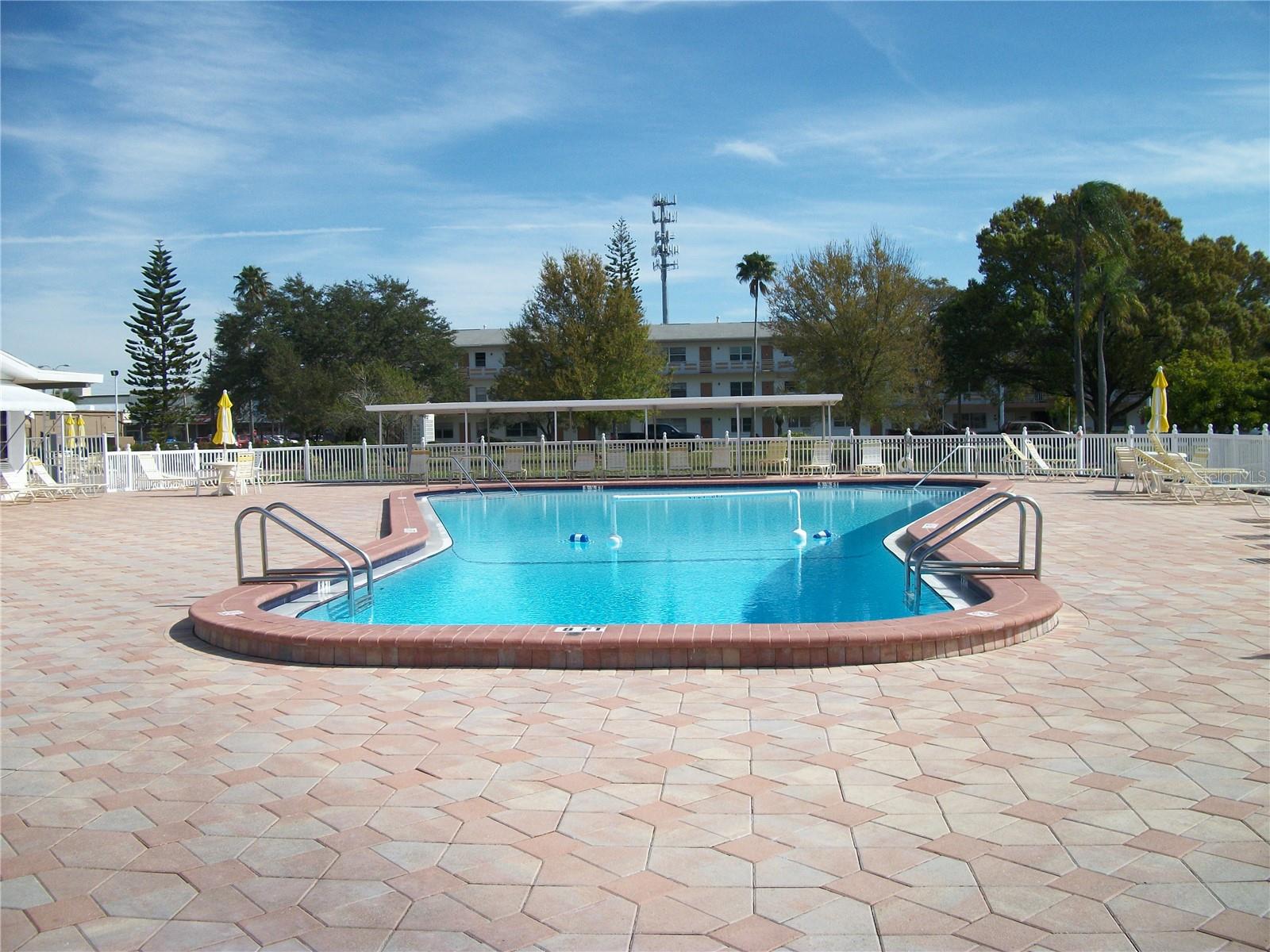 TOWN APTS CONDO - Residential Lease