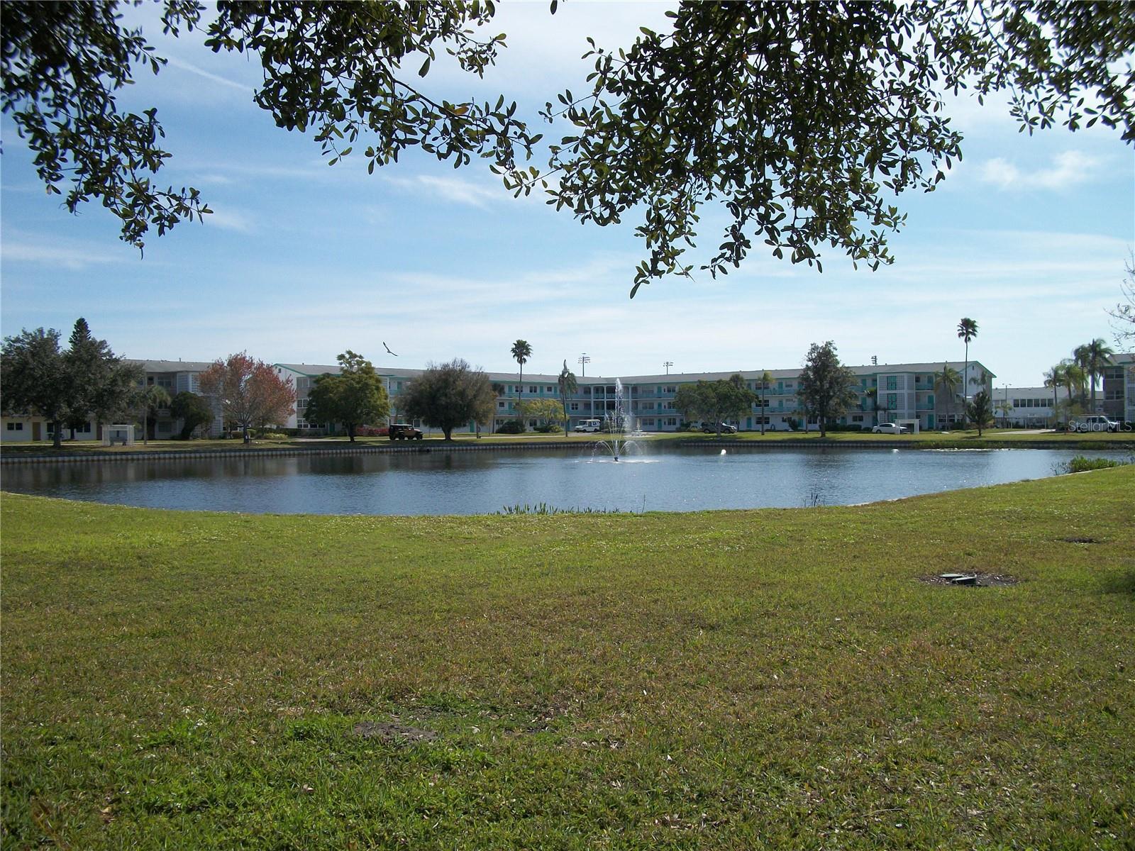 TOWN APTS CONDO - Residential Lease