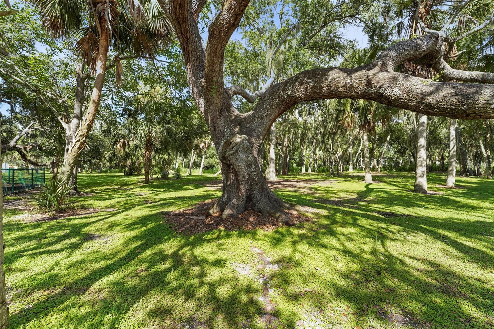 COLONIAL OAKS - Residential