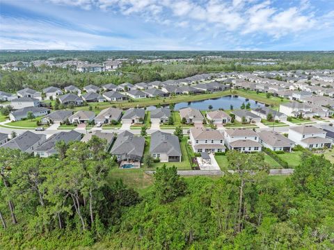 Tiny photo for 17860 Passionflower Circle, Clermont, FL 34714 (MLS # O6322465)