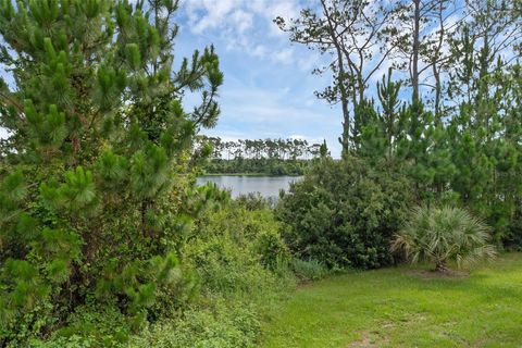 Tiny photo for 17860 Passionflower Circle, Clermont, FL 34714 (MLS # O6322465)