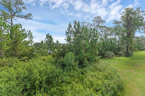 Tiny photo for 17860 Passionflower Circle, Clermont, FL 34714 (MLS # O6322465)