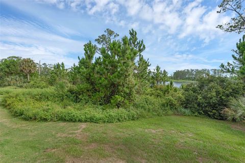 Tiny photo for 17860 Passionflower Circle, Clermont, FL 34714 (MLS # O6322465)