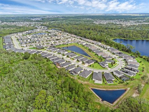 Tiny photo for 17860 Passionflower Circle, Clermont, FL 34714 (MLS # O6322465)