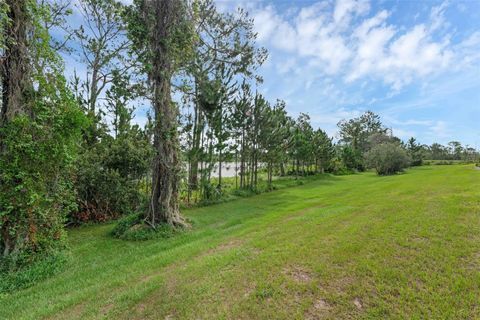 Tiny photo for 17860 Passionflower Circle, Clermont, FL 34714 (MLS # O6322465)