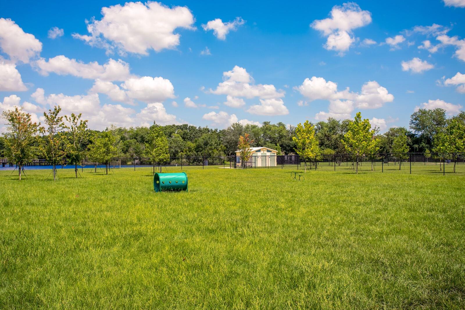 SANCTUARY AT CARROLLWOOD - Residential