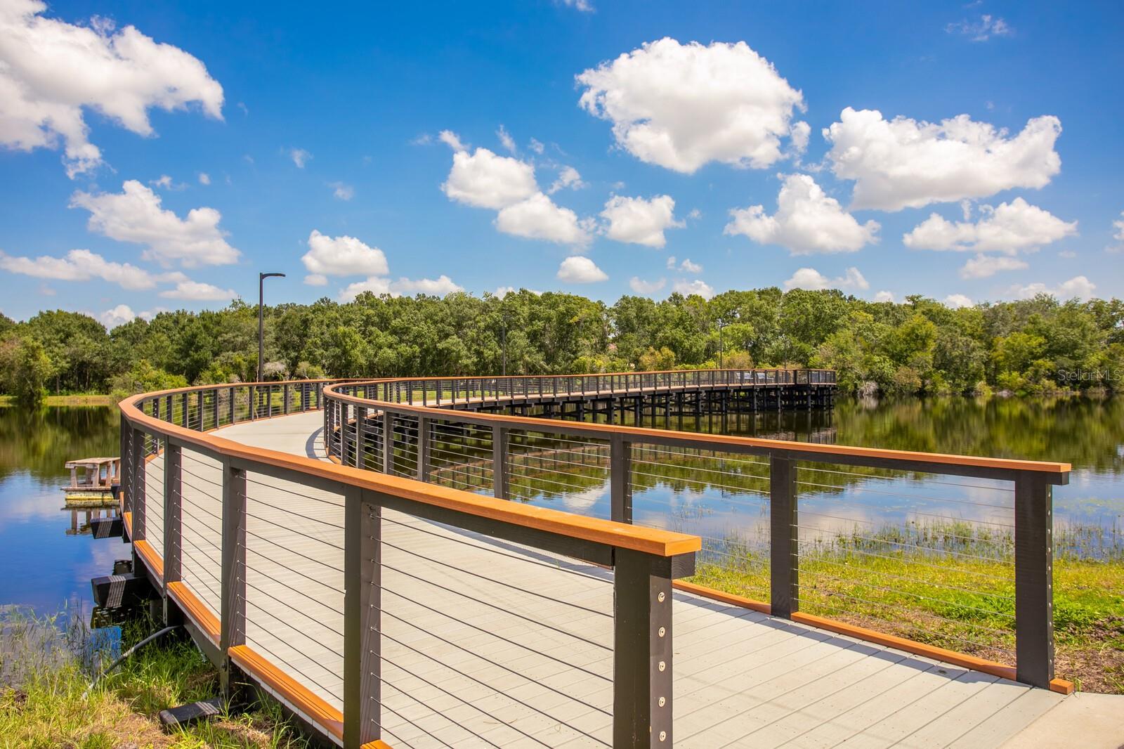 SANCTUARY AT CARROLLWOOD - Residential