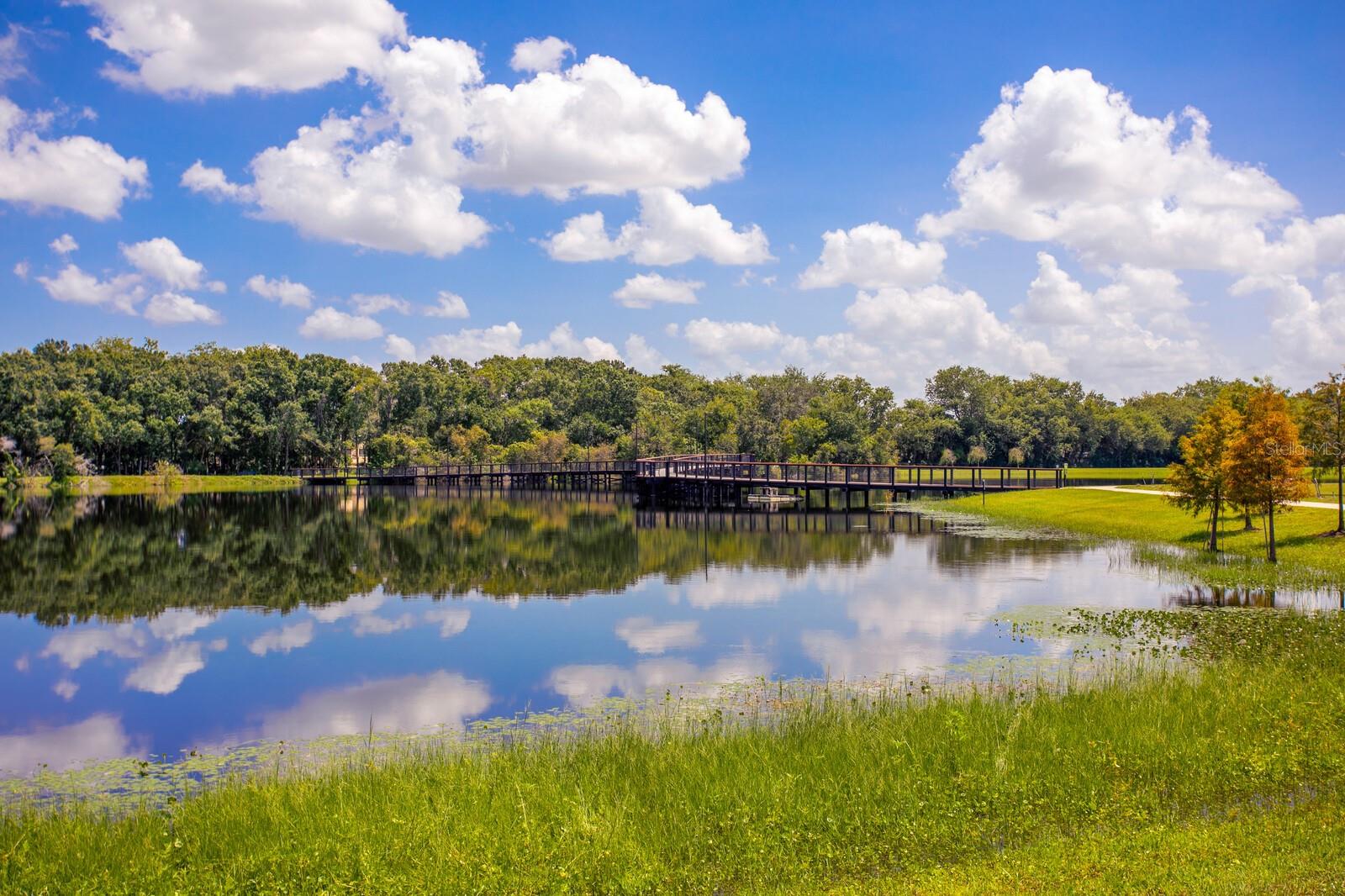 SANCTUARY AT CARROLLWOOD - Residential