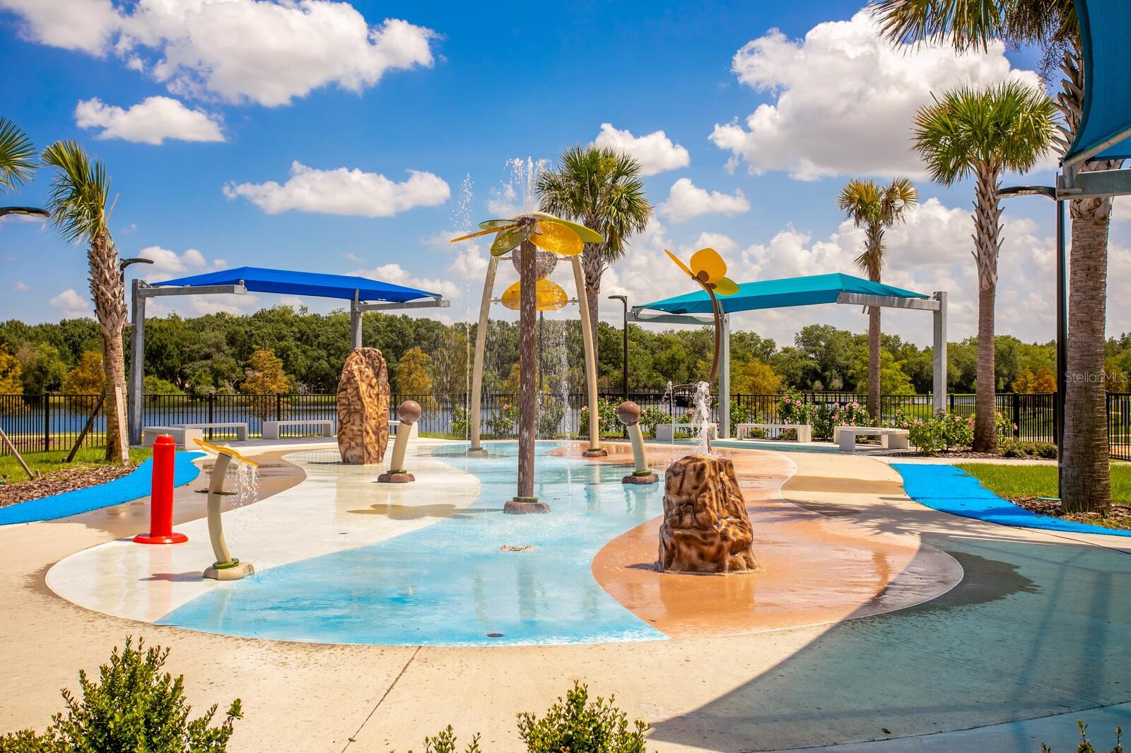 SANCTUARY AT CARROLLWOOD - Residential