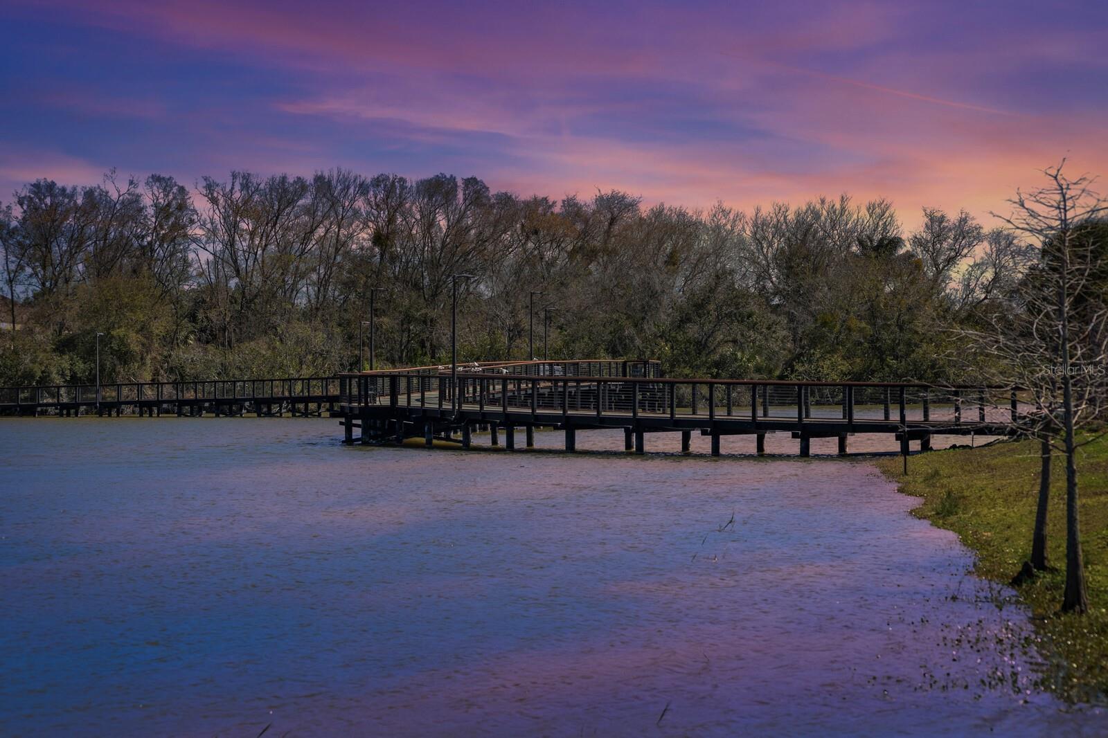 SANCTUARY AT CARROLLWOOD - Residential