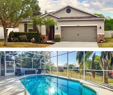 1568 BRANDYWINE DRIVE TAVARES FL 32778