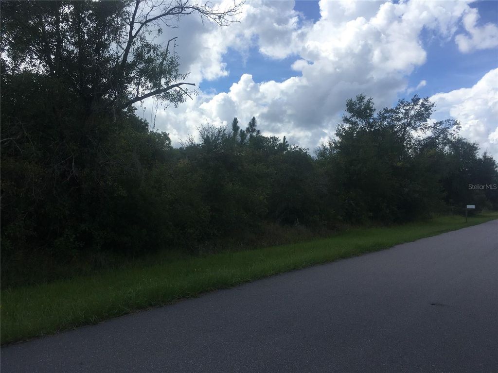 Photo of 237 Evergreen Street, Punta Gorda, FL 33982 (MLS # O6379143)