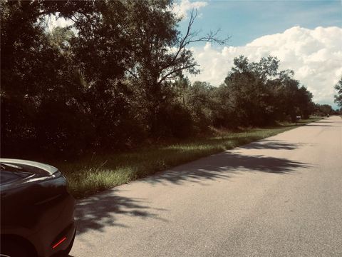 Photo of 237 Evergreen Street, Punta Gorda, FL 33982 (MLS # O6379143)