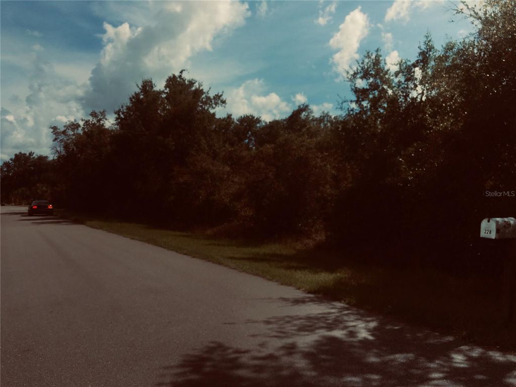 Photo of 237 Evergreen Street, Punta Gorda, FL 33982 (MLS # O6379143)