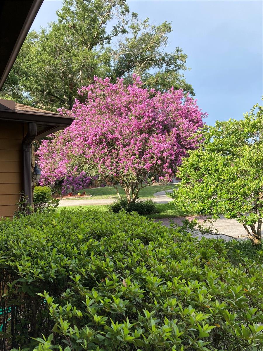 TEMPLE HILLS UNIT 1 - Residential