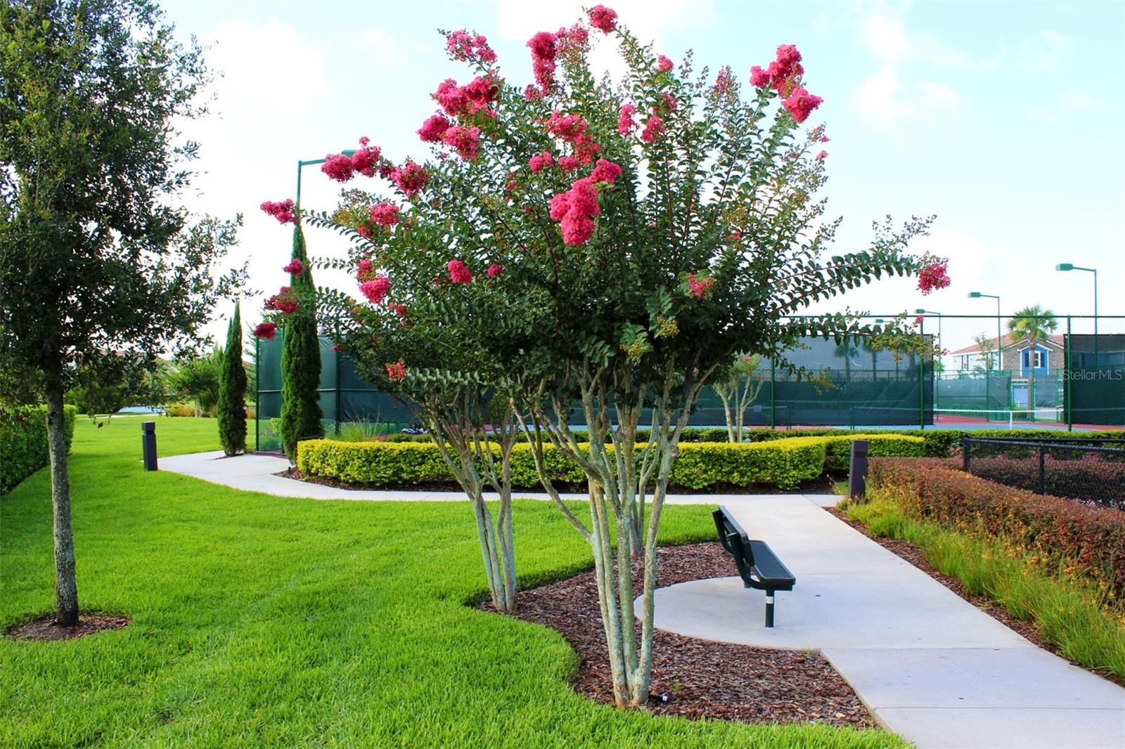 EAGLE CREEK PHASE 1C VILLAGE D 74/58 LOT 88 - Residential Lease