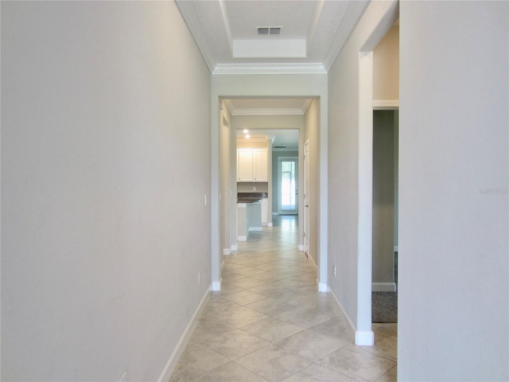 Photo of 24815 Lambrusco Loop, Lutz, FL 33559 (MLS # TB8432203)
