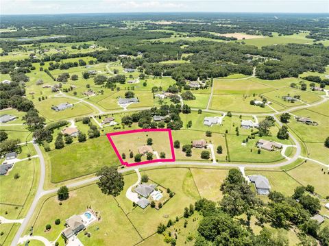 Tiny photo for 2679 NE 108th Lane, Oxford, FL 34484 (MLS # G5099974)