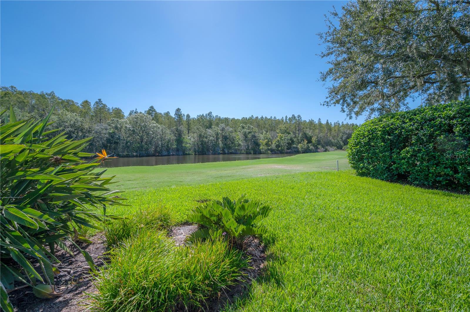 CHEVAL - Residential