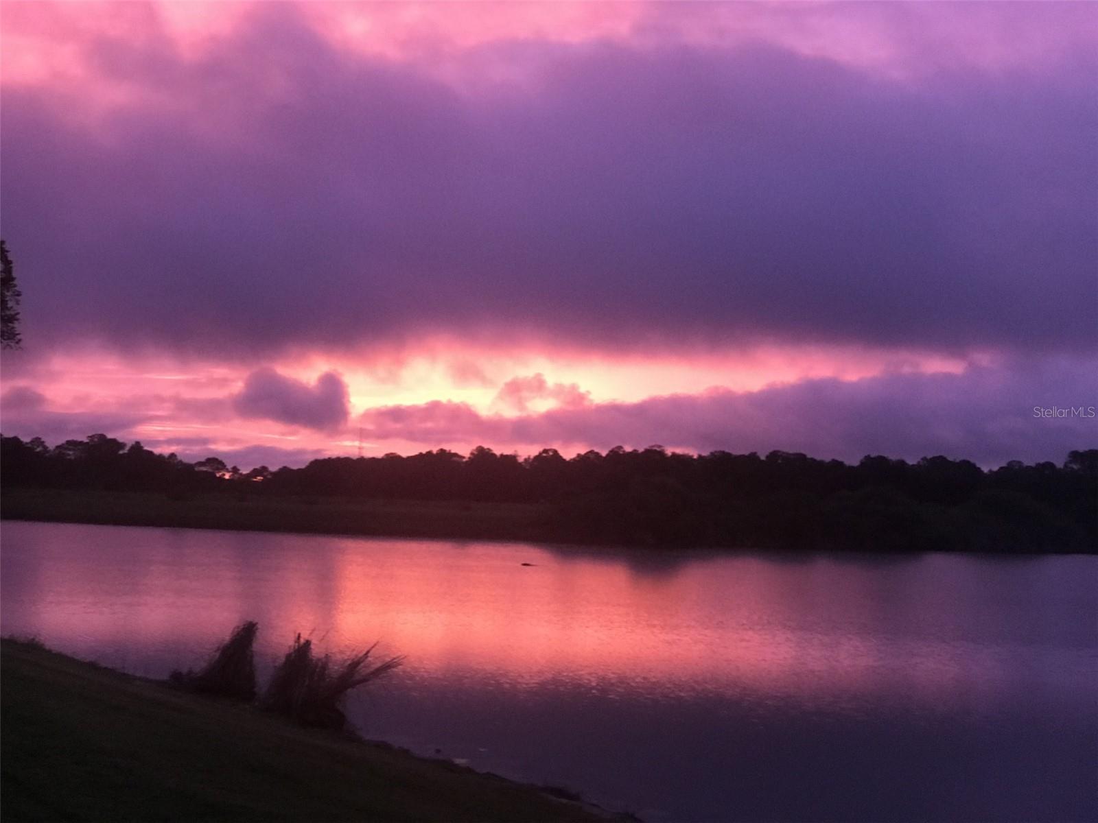 CEDAR GROVE PH 1B - Residential