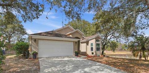 Photo of 251 Pine Springs Drive, Debary, FL 32713 (MLS # V4947466)