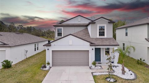 13327 WILLOW BLUESTAR LOOP RIVERVIEW FL 33579