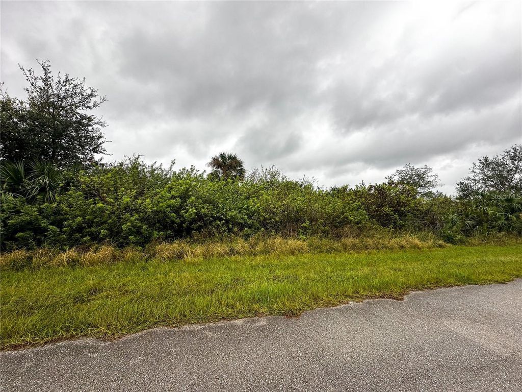 Photo of 359 Findlay Street, Port Charlotte, FL 33954 (MLS # C7521130)