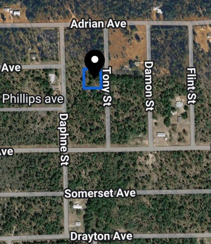 Photo of Toby Street, Interlachen, FL 32148 (MLS # TB8541072)