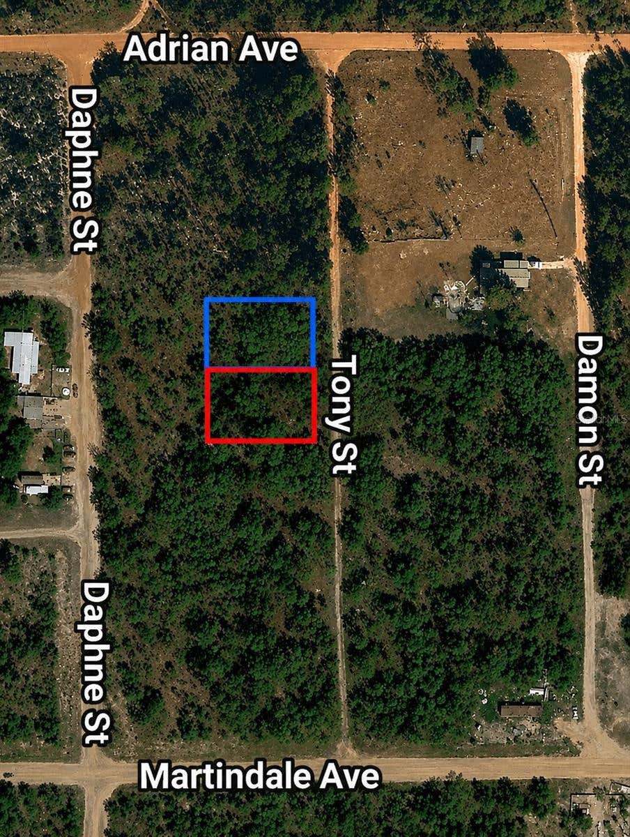 Photo of Toby Street, Interlachen, FL 32148 (MLS # TB8541072)