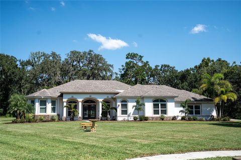 Photo of 490 Silver Moss Lane, Tarpon Springs, FL 34688 (MLS # TB8369876)