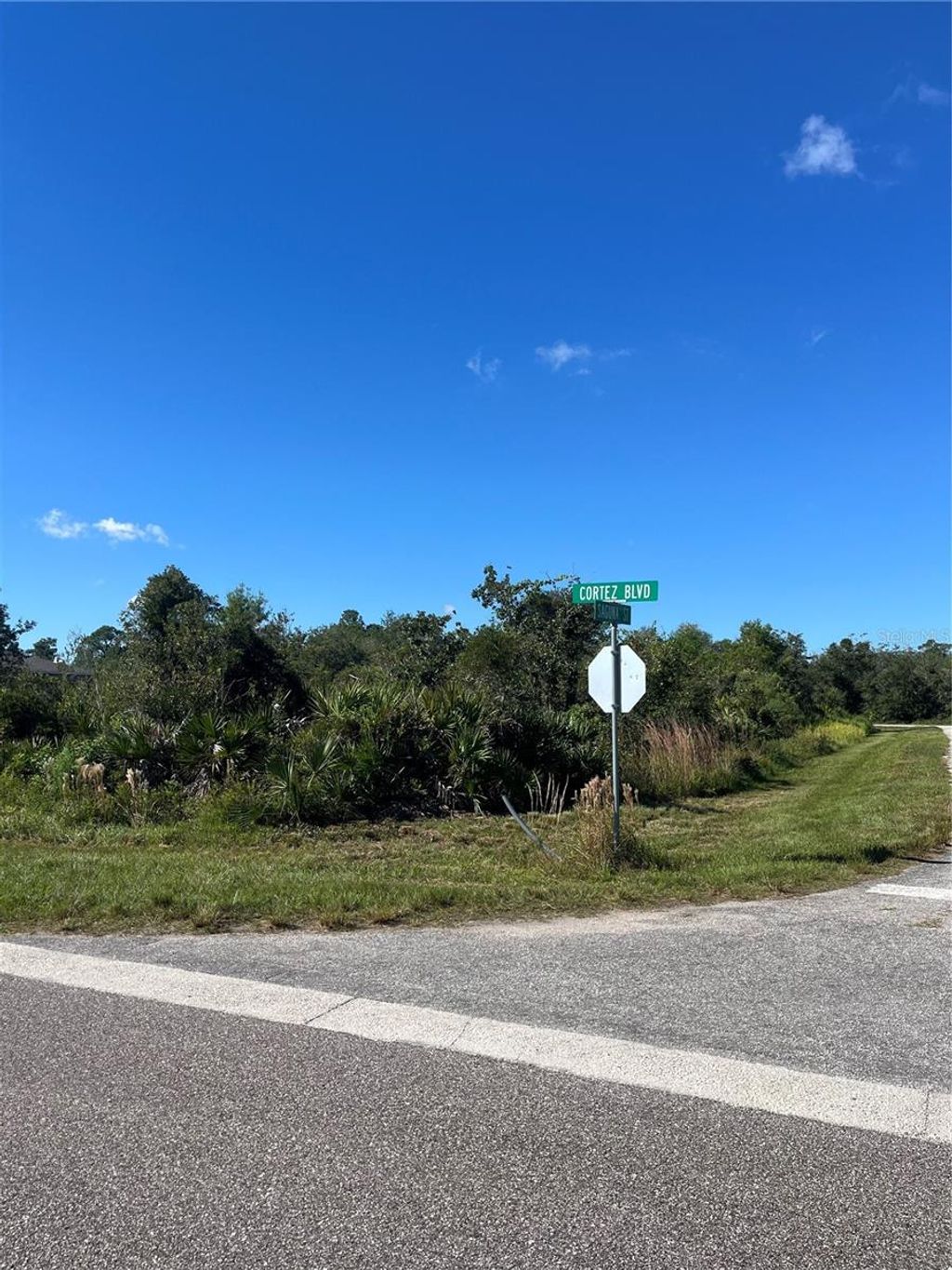 Photo of 7003 Saquna Street, Sebring, FL 33872 (MLS # C7516224)