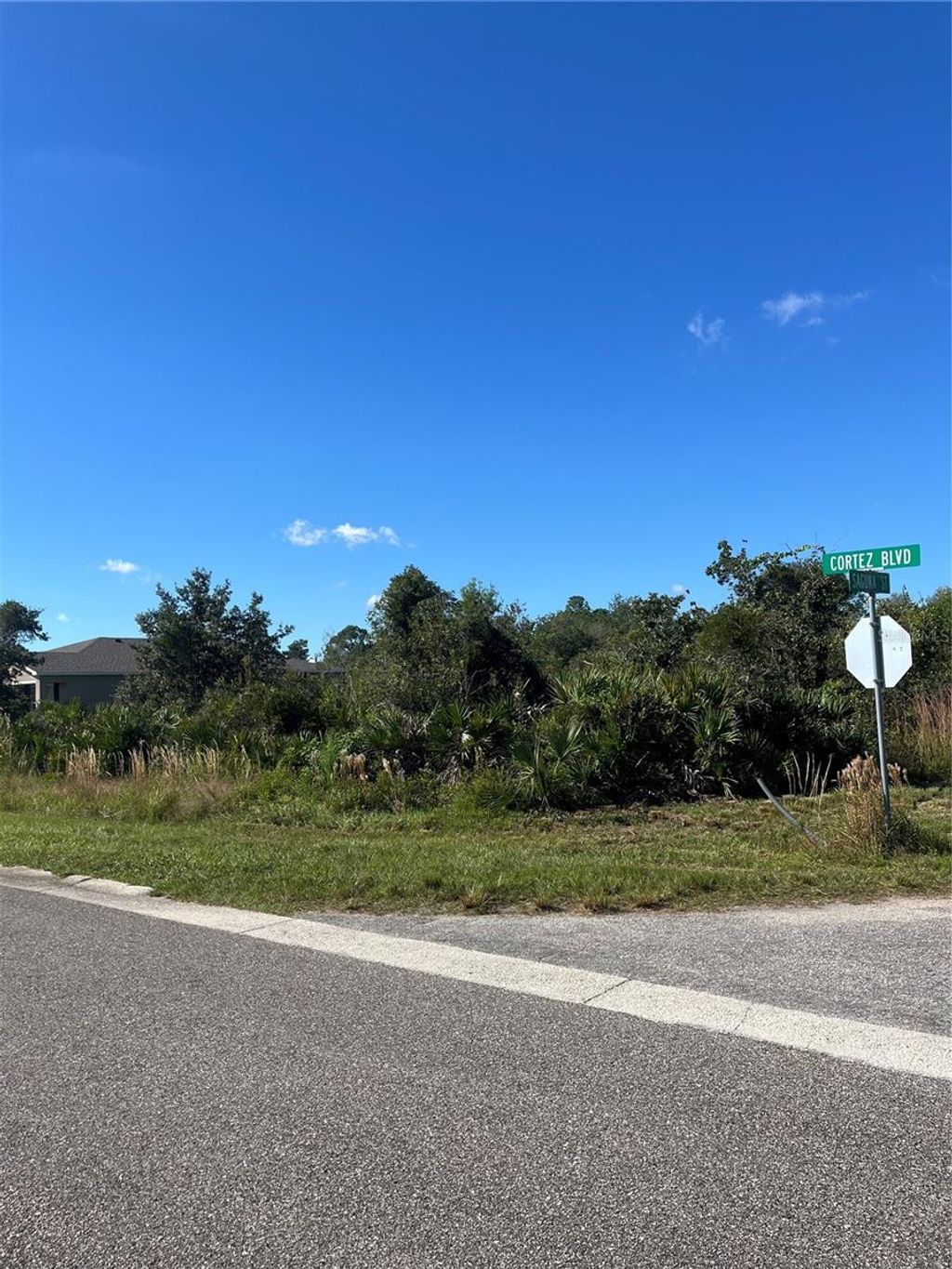 Photo of 7003 Saquna Street, Sebring, FL 33872 (MLS # C7516224)